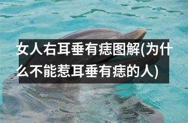 女人右耳垂有痣图解(为什么不能惹耳垂有痣的人)