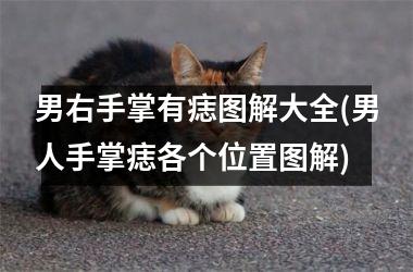 男右手掌有痣图解大全(男人手掌痣各个位置图解)