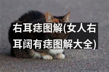 <h3>右耳痣图解(女人右耳阔有痣图解大全)