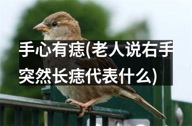 手心有痣(老人说右手突然长痣代表什么)