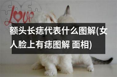 额头长痣代表什么图解(女人脸上有痣图解 面相)