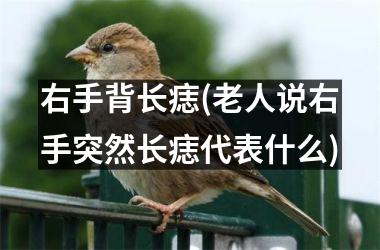 <h3>右手背长痣(老人说右手突然长痣代表什么)