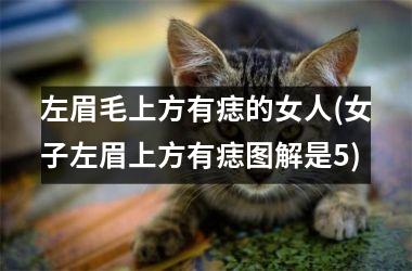 左眉毛上方有痣的女人(女子左眉上方有痣图解是5)