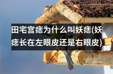 田宅宫痣为什么叫妖痣(妖痣长在左眼皮还是右眼皮)