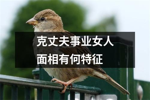 克丈夫事业女人面相有何特征