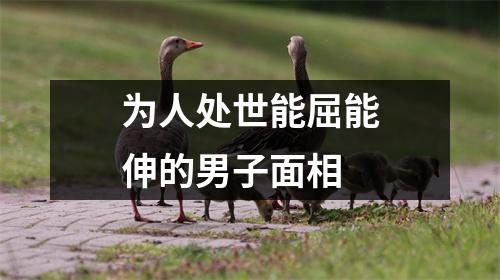 为人处世能屈能伸的男子面相