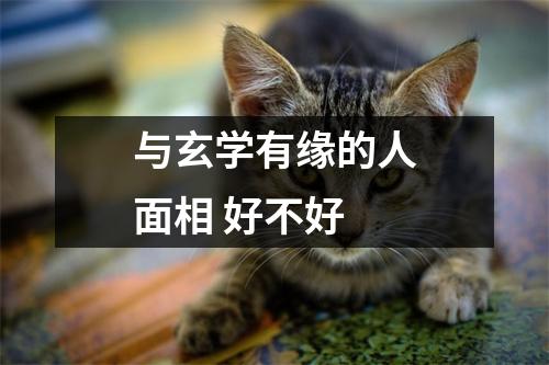 与玄学有缘的人面相好不好