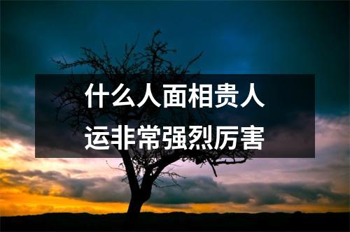 <h3>什么人面相贵人运非常强烈厉害