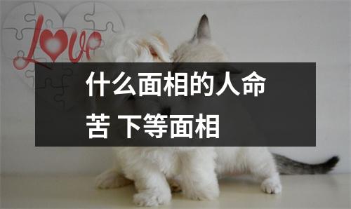 什么面相的人命苦下等面相