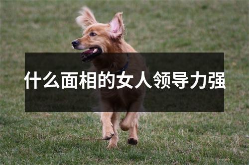 什么面相的女人领导力强