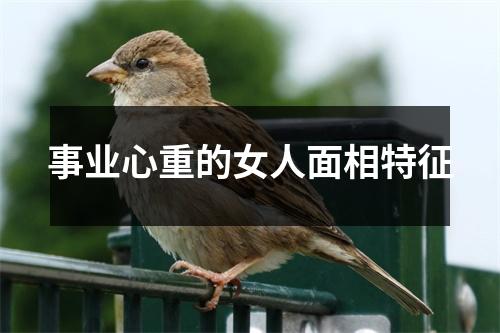 <h3>事业心重的女人面相特征