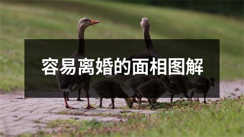 容易离婚的面相图解
