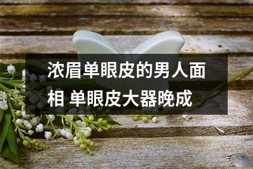 浓眉单眼皮的男人面相单眼皮大器晚成