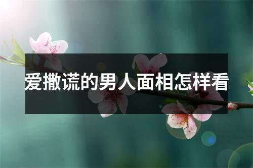 爱撒谎的男人面相怎样看