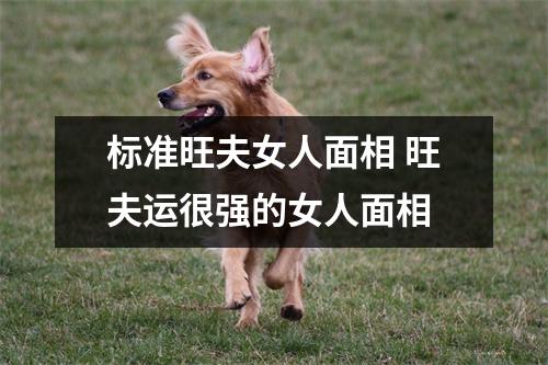 标准旺夫女人面相旺夫运很强的女人面相