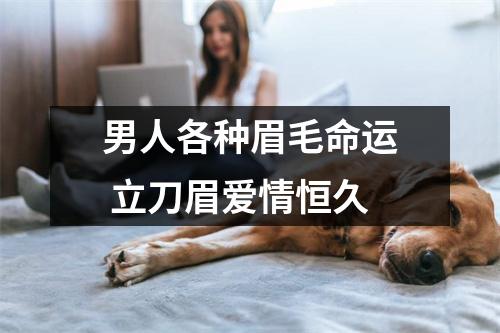 男人各种眉毛命运立刀眉爱情恒久