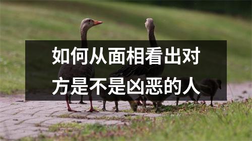 如何从面相看出对方是不是凶恶的人