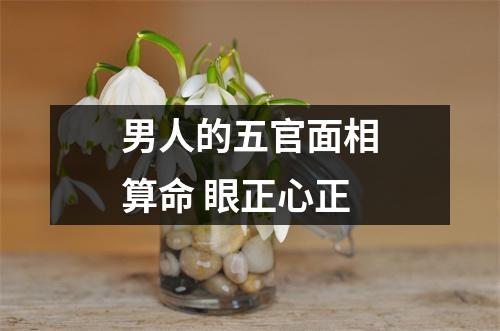 男人的五官面相算命眼正心正