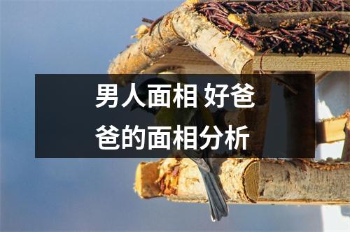 <h3>男人面相好爸爸的面相分析