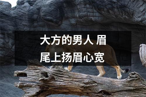 <h3>大方的男人眉尾上扬眉心宽