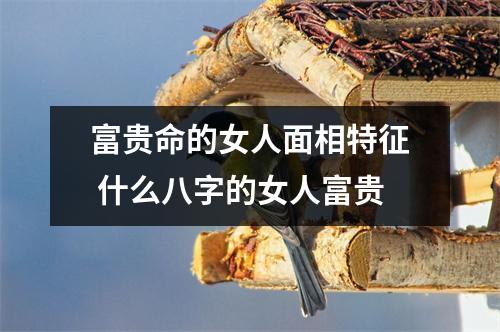 <h3>富贵命的女人面相特征什么八字的女人富贵