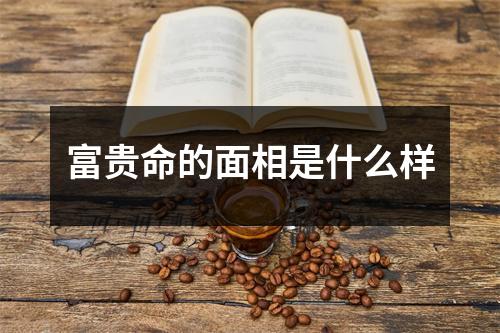 <h3>富贵命的面相是什么样
