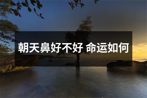 <h3>朝天鼻好不好命运如何