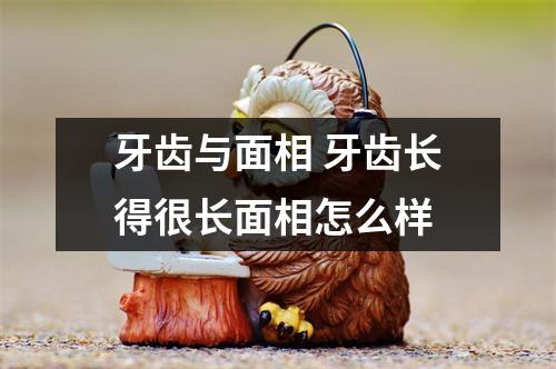 牙齿与面相牙齿长得很长面相怎么样