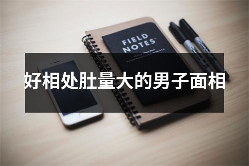 好相处肚量大的男子面相