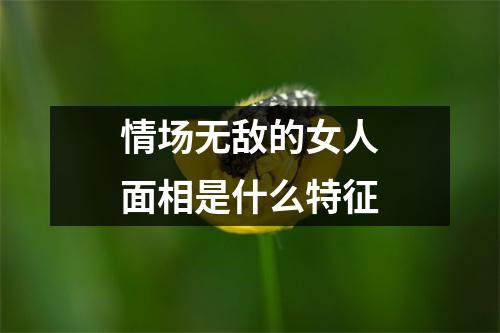 情场无敌的女人面相是什么特征