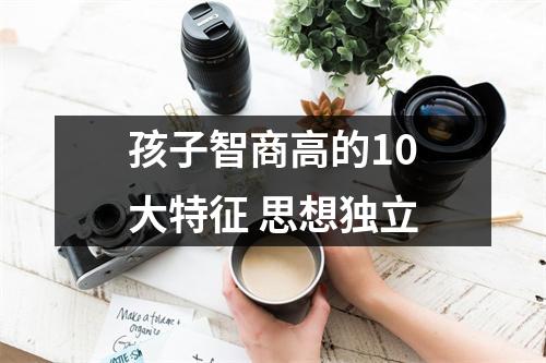 孩子智商高的10大特征思想独立