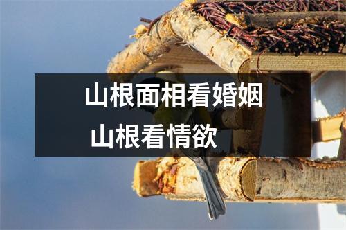 山根面相看婚姻山根看情欲