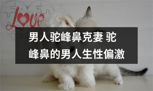 男人驼峰鼻克妻驼峰鼻的男人生性偏激