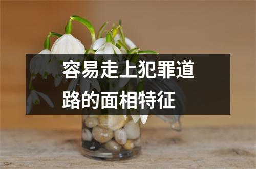 <h3>容易走上犯罪道路的面相特征