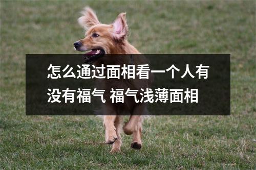 怎么通过面相看一个人有没有福气福气浅薄面相