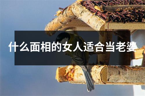 什么面相的女人适合当老婆
