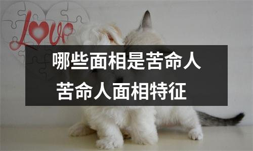 哪些面相是苦命人苦命人面相特征