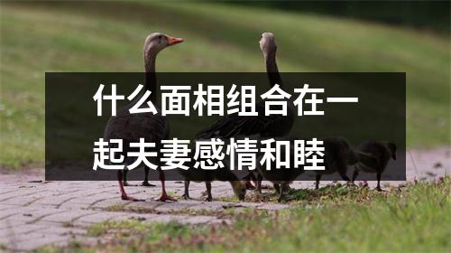 <h3>什么面相组合在一起夫妻感情和睦