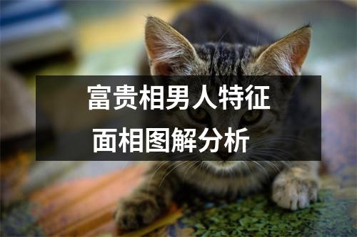富贵相男人特征面相图解分析