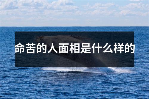 命苦的人面相是什么样的