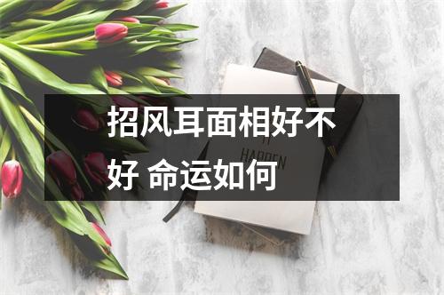 <h3>招风耳面相好不好命运如何