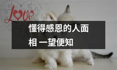 <h3>懂得感恩的人面相一望便知