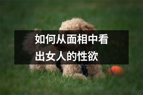 <h3>如何从面相中看出女人的性欲
