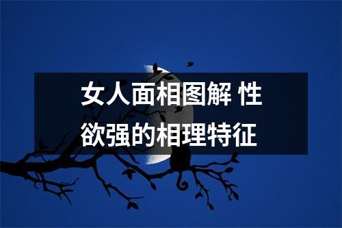 <h3>女人面相图解性欲强的相理特征