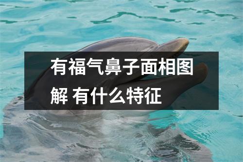 <h3>有福气鼻子面相图解有什么特征
