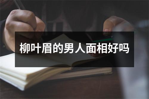柳叶眉的男人面相好吗