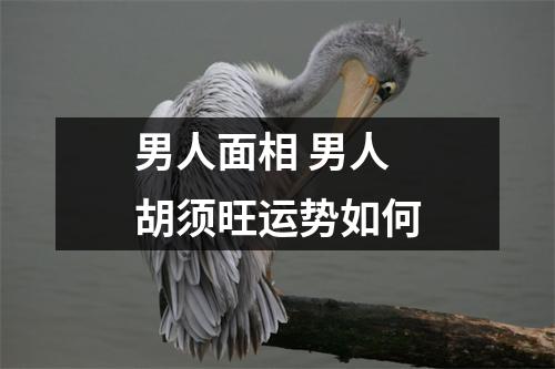 男人面相男人胡须旺运势如何