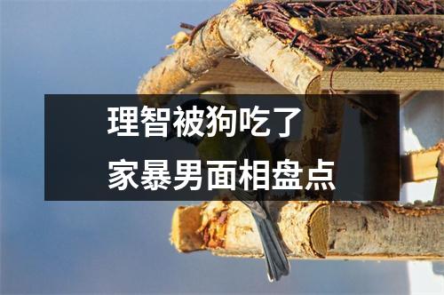 <h3>理智被狗吃了家暴男面相盘点