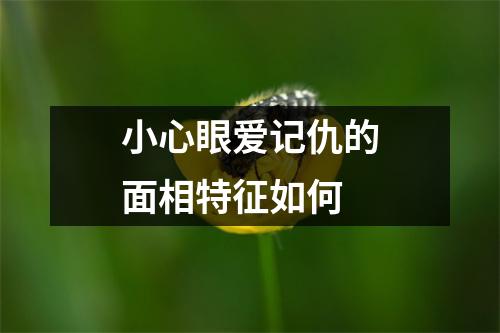 <h3>小心眼爱记仇的面相特征如何