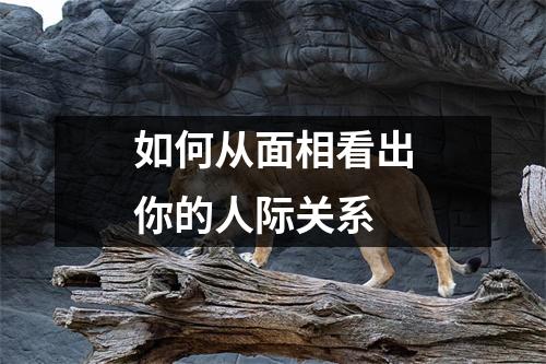 如何从面相看出你的人际关系
